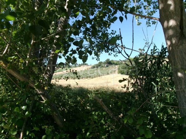 terreno agricolo in vendita ad Agugliano