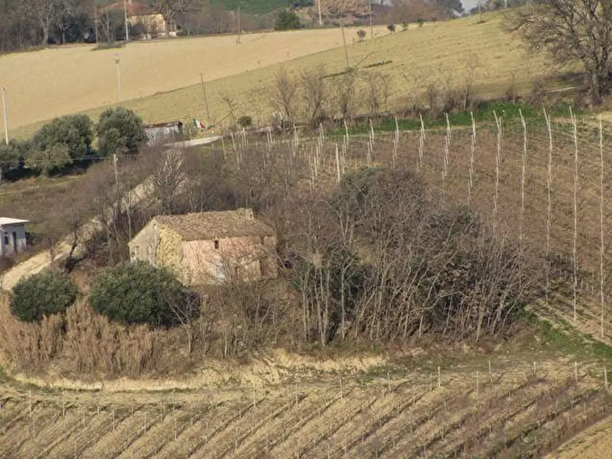 casa indipendente in vendita ad Agugliano