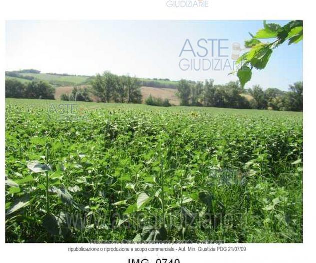 terreno agricolo in vendita ad Agugliano