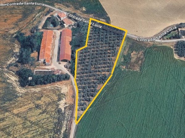 terreno agricolo in vendita ad Agugliano