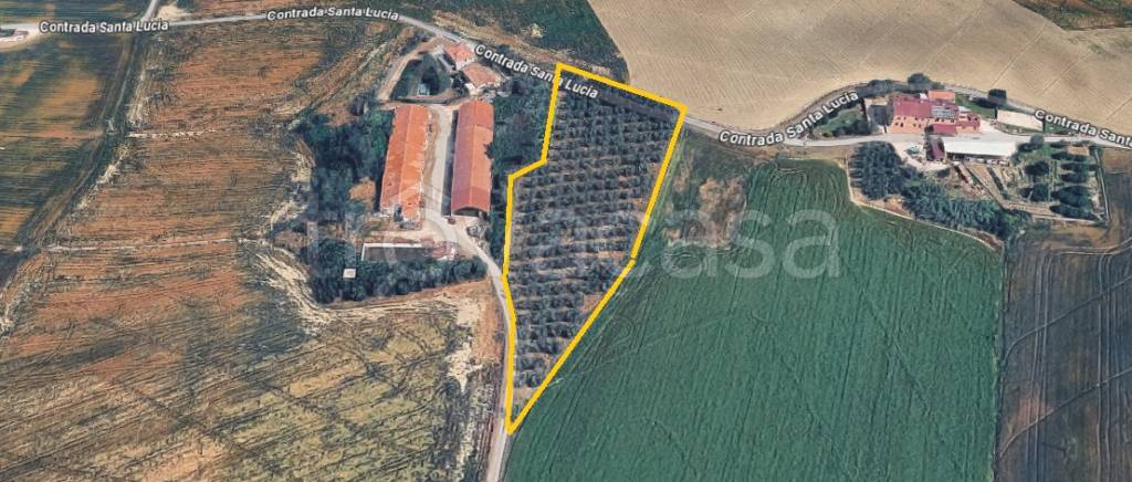 terreno agricolo in vendita ad Agugliano