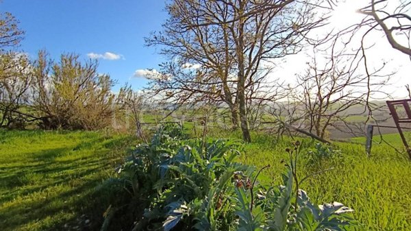 casa indipendente in vendita ad Agugliano