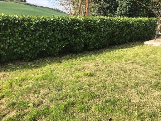 appartamento in vendita ad Agugliano