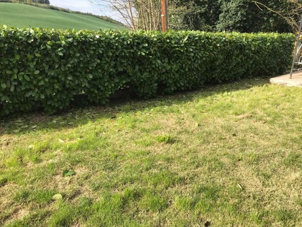 appartamento in vendita ad Agugliano