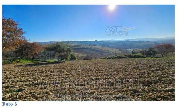 terreno agricolo in vendita ad Agugliano