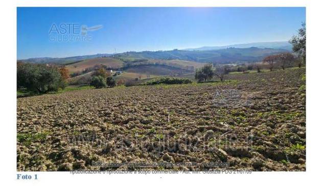 terreno agricolo in vendita ad Agugliano