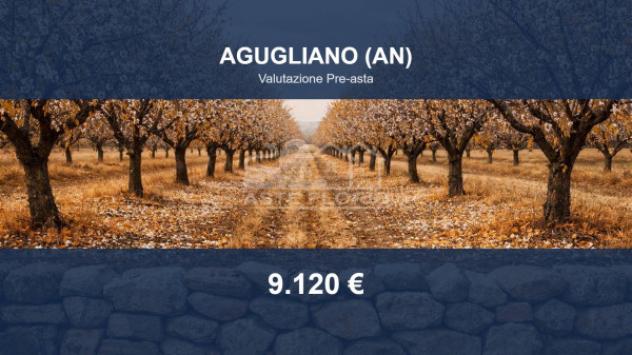 terreno agricolo in vendita ad Agugliano in zona Castel d'Emilio