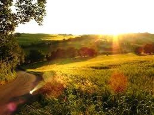 appartamento in vendita ad Agugliano