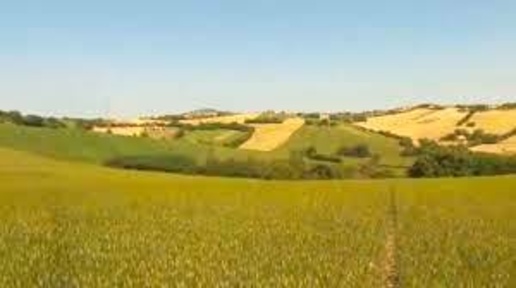 appartamento in vendita ad Agugliano in zona Castel d'Emilio