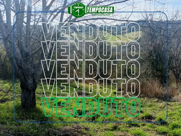 terreno agricolo in vendita ad Ancona in zona Pietra La Croce