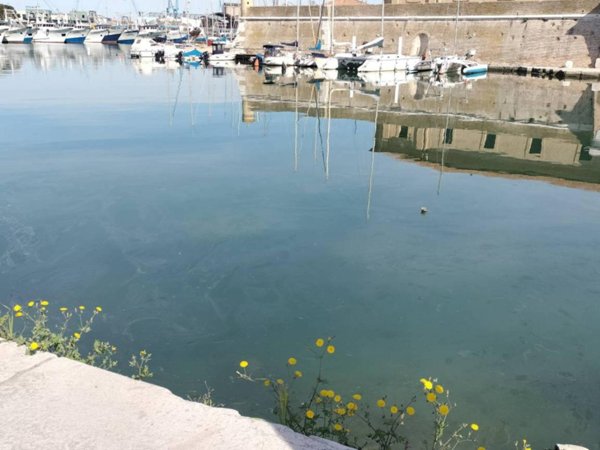 appartamento in vendita ad Ancona in zona Piano San Lazzaro