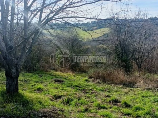 terreno agricolo in vendita ad Ancona in zona Pietra La Croce