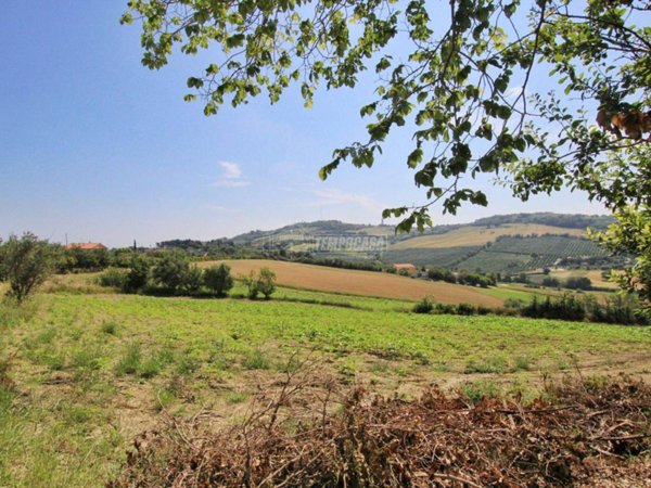 terreno agricolo in vendita ad Ancona in zona Torrette