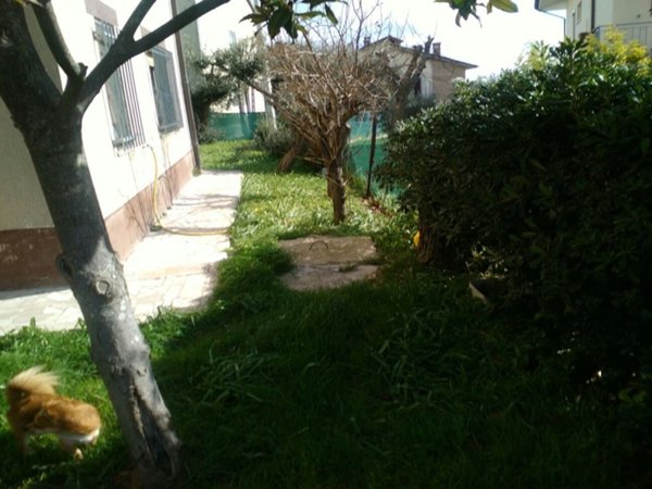 appartamento in vendita ad Ancona in zona Piano San Lazzaro