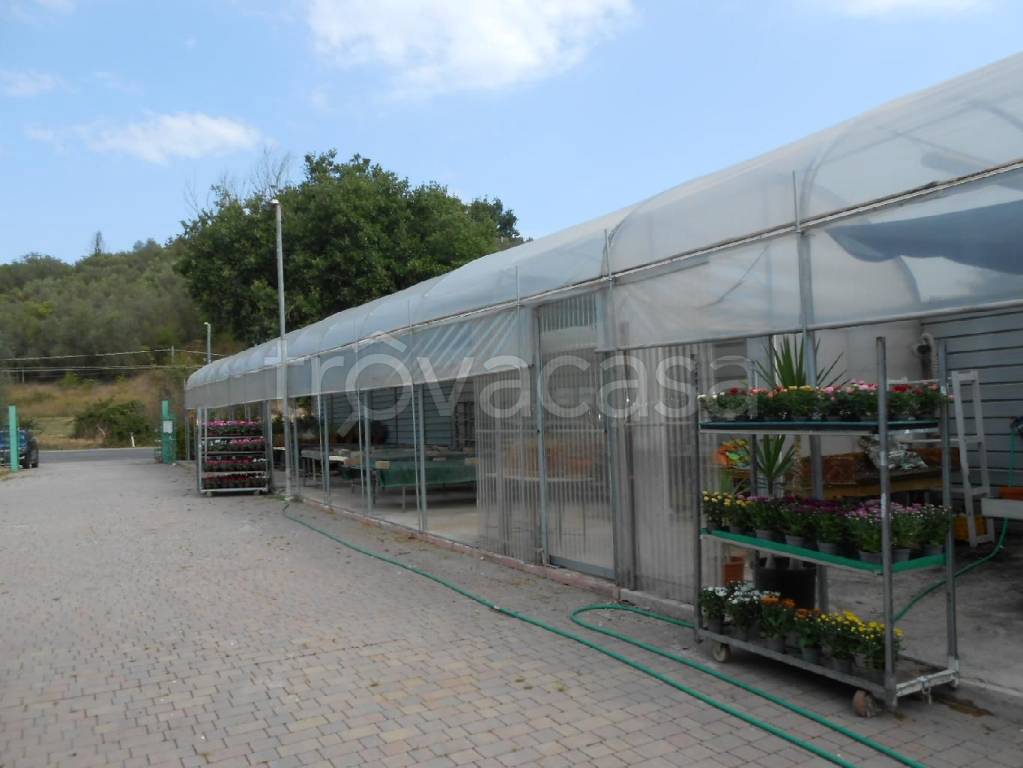 terreno agricolo in vendita ad Ancona in zona Gallignano