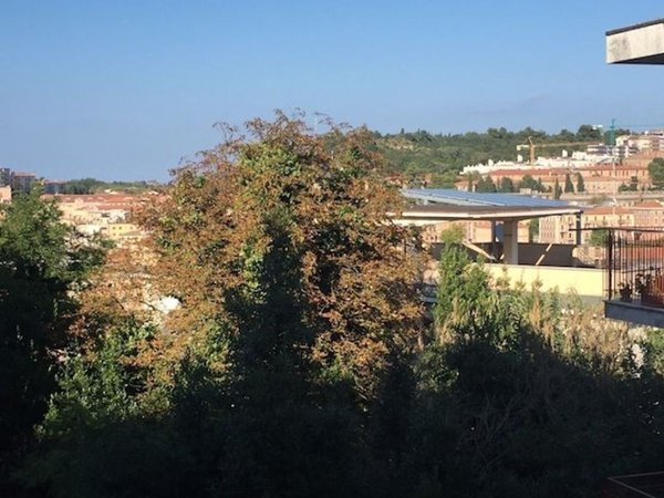 appartamento in vendita ad Ancona in zona Piano San Lazzaro