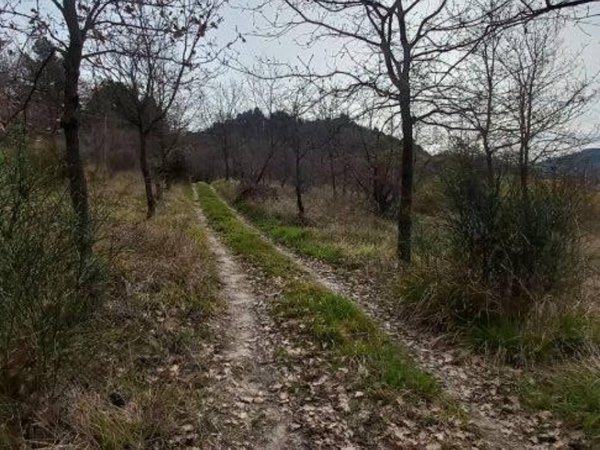 terreno agricolo in vendita ad Ancona in zona Candia