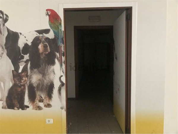 negozio in vendita ad Ancona in zona Montirozzo