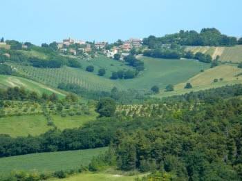 appartamento in vendita ad Ancona
