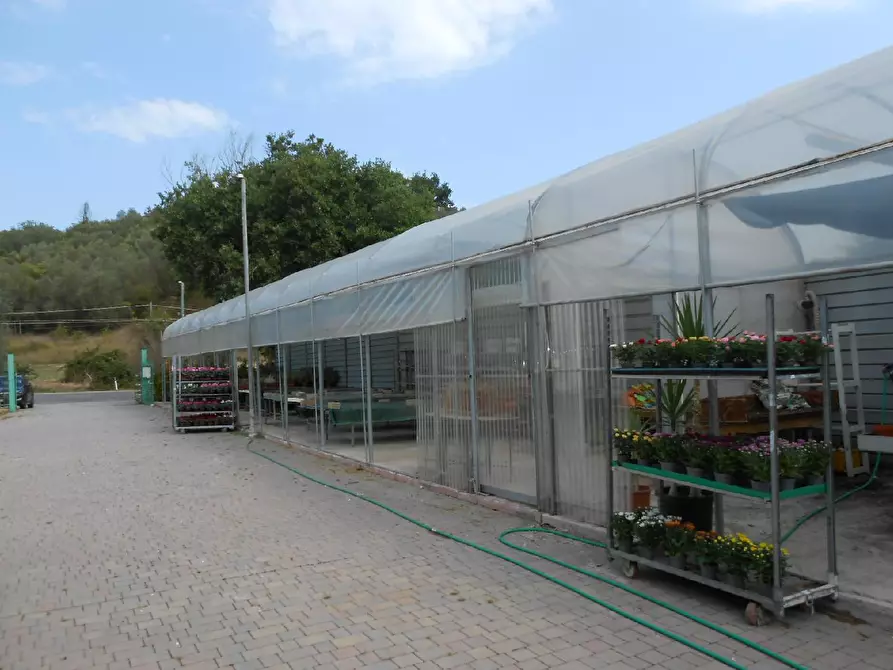 terreno agricolo in vendita ad Ancona in zona Casette Di Paterno