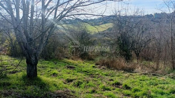 terreno agricolo in vendita ad Ancona in zona Pietra La Croce