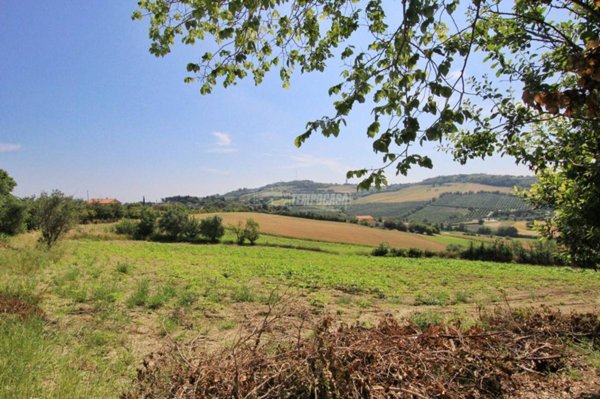 terreno agricolo in vendita ad Ancona in zona Torrette