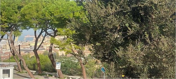 appartamento in vendita ad Ancona in zona Piano San Lazzaro