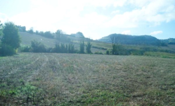 terreno agricolo in vendita ad Ancona in zona Torrette