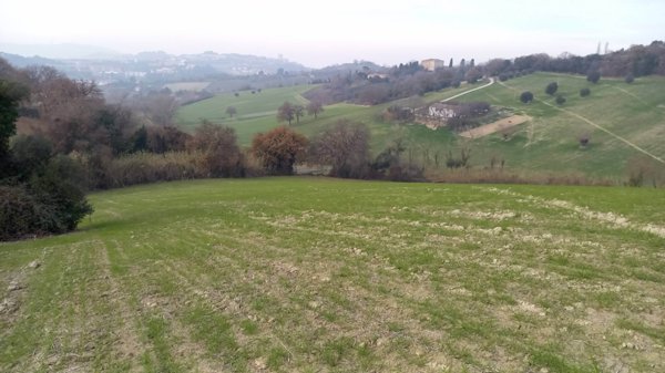 terreno agricolo in vendita ad Ancona in zona Angeli di Varano