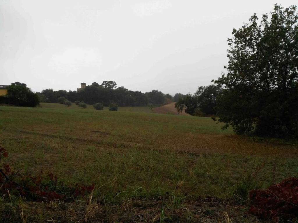 terreno agricolo in vendita ad Ancona in zona Candia