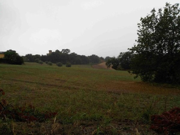 terreno agricolo in vendita ad Ancona in zona Candia