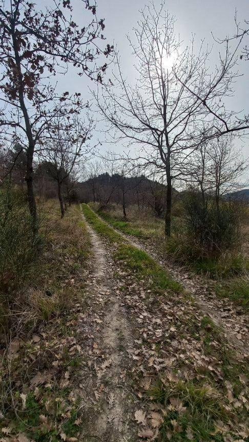 terreno agricolo in vendita ad Ancona in zona Gallignano