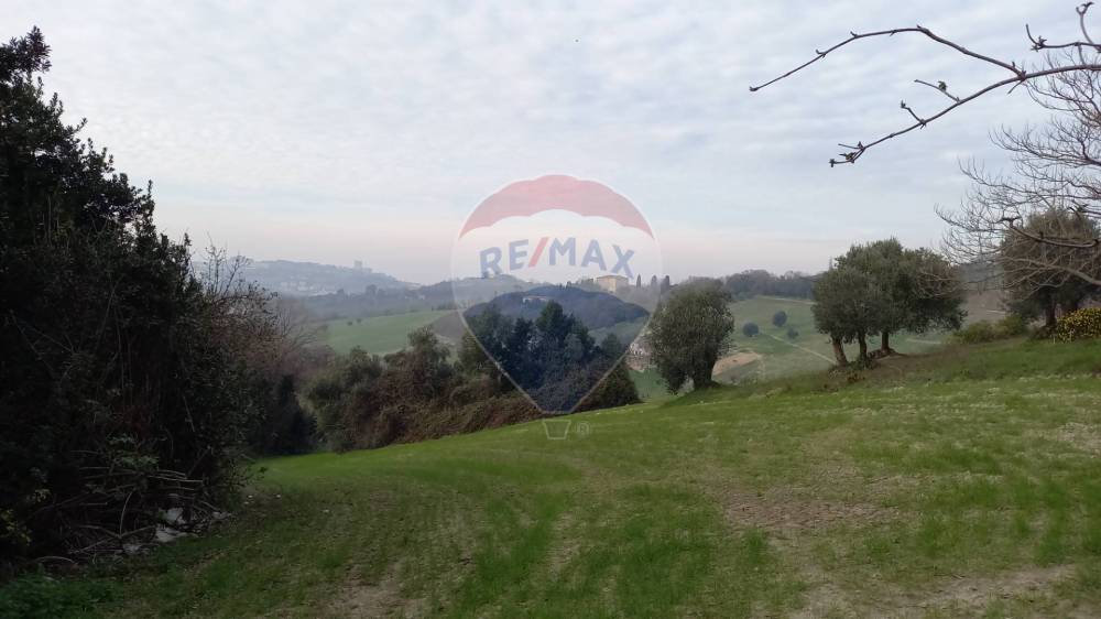 terreno agricolo in vendita ad Ancona