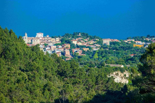 casa indipendente in vendita ad Ancona in zona Massignano