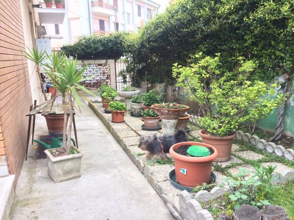 appartamento in vendita ad Ancona in zona Scrima