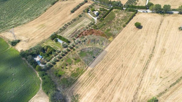 terreno agricolo in vendita ad Ancona