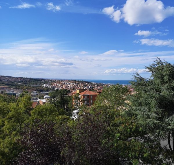 appartamento in vendita ad Ancona in zona Tavernelle