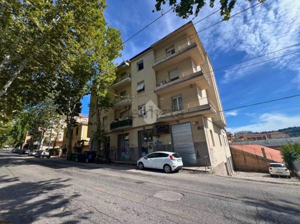 appartamento in vendita ad Ancona