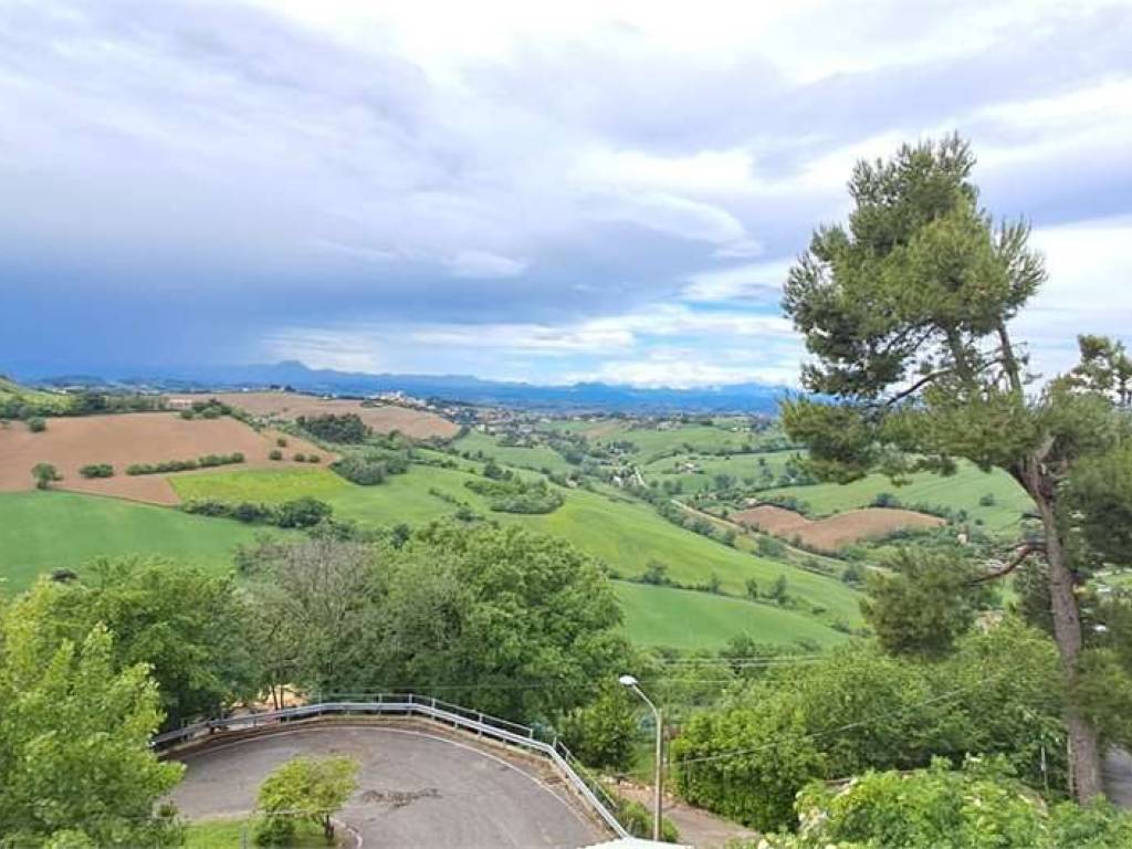 immagine annuncio 0 di 15