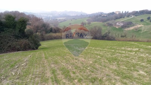 terreno agricolo in vendita ad Ancona in zona Pietra La Croce