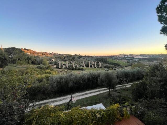 appartamento in vendita ad Ancona in zona Borgo Rodi