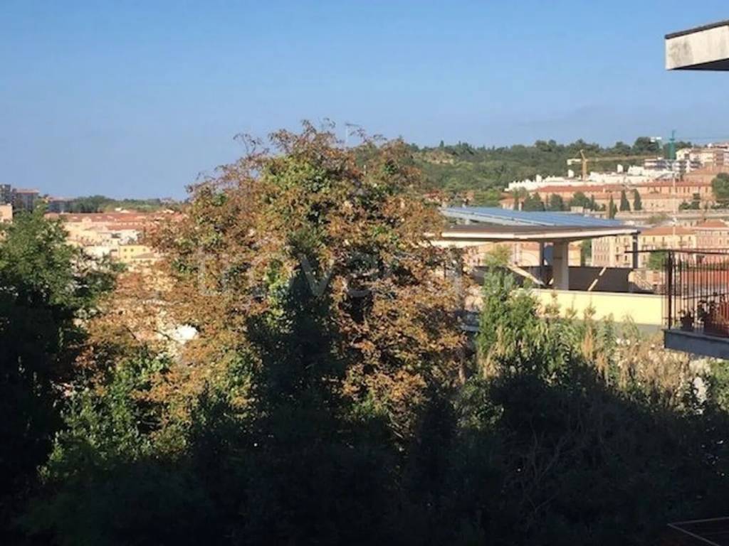 appartamento in vendita ad Ancona in zona Borgo Rodi