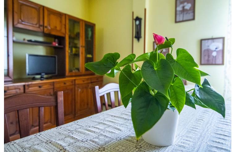 appartamento in vendita ad Ancona in zona Collemarino