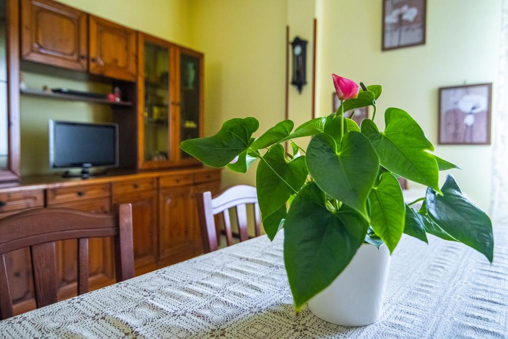 appartamento in vendita ad Ancona in zona Collemarino