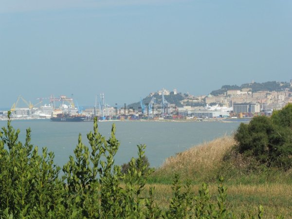 appartamento in vendita ad Ancona in zona Torrette