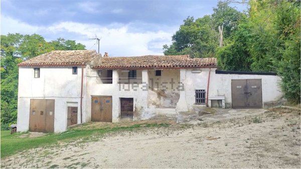 esavano in vendita ad Ancona in zona Montesicuro