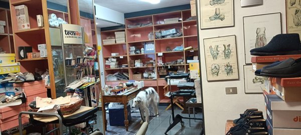 negozio in vendita ad Ancona in zona Piano San Lazzaro