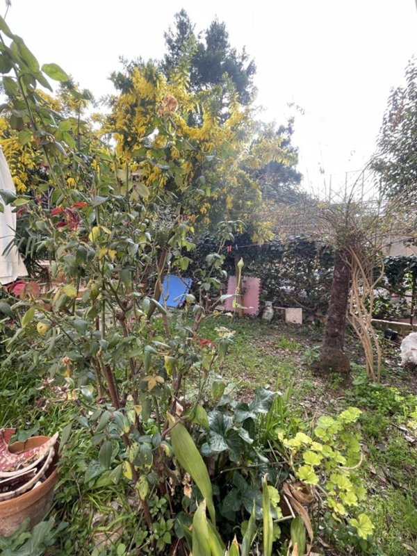 appartamento in vendita ad Ancona in zona Adriatico