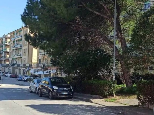 appartamento in vendita ad Ancona in zona Tavernelle