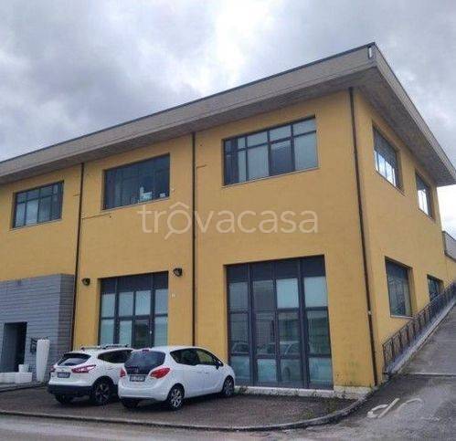 ufficio in vendita ad Ancona in zona Baraccola